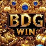 What You Need to Know About BDG Game